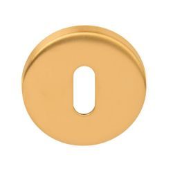 FO sleutelplaatje LINOX BASICS LBN50 6mm IM mat goud PVD