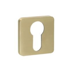 Q cilinderplaatje vierkant 192 DM PZ messing sat (22)